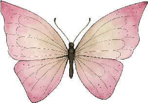 Papillon, logo du cabinet